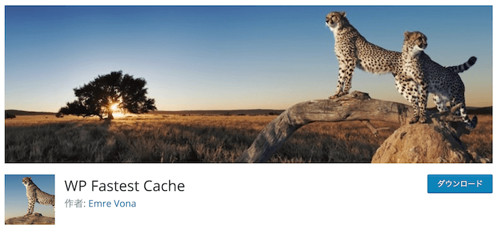 WP Fastest Cache